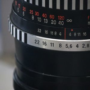 Meet your Posher, Judah ben david